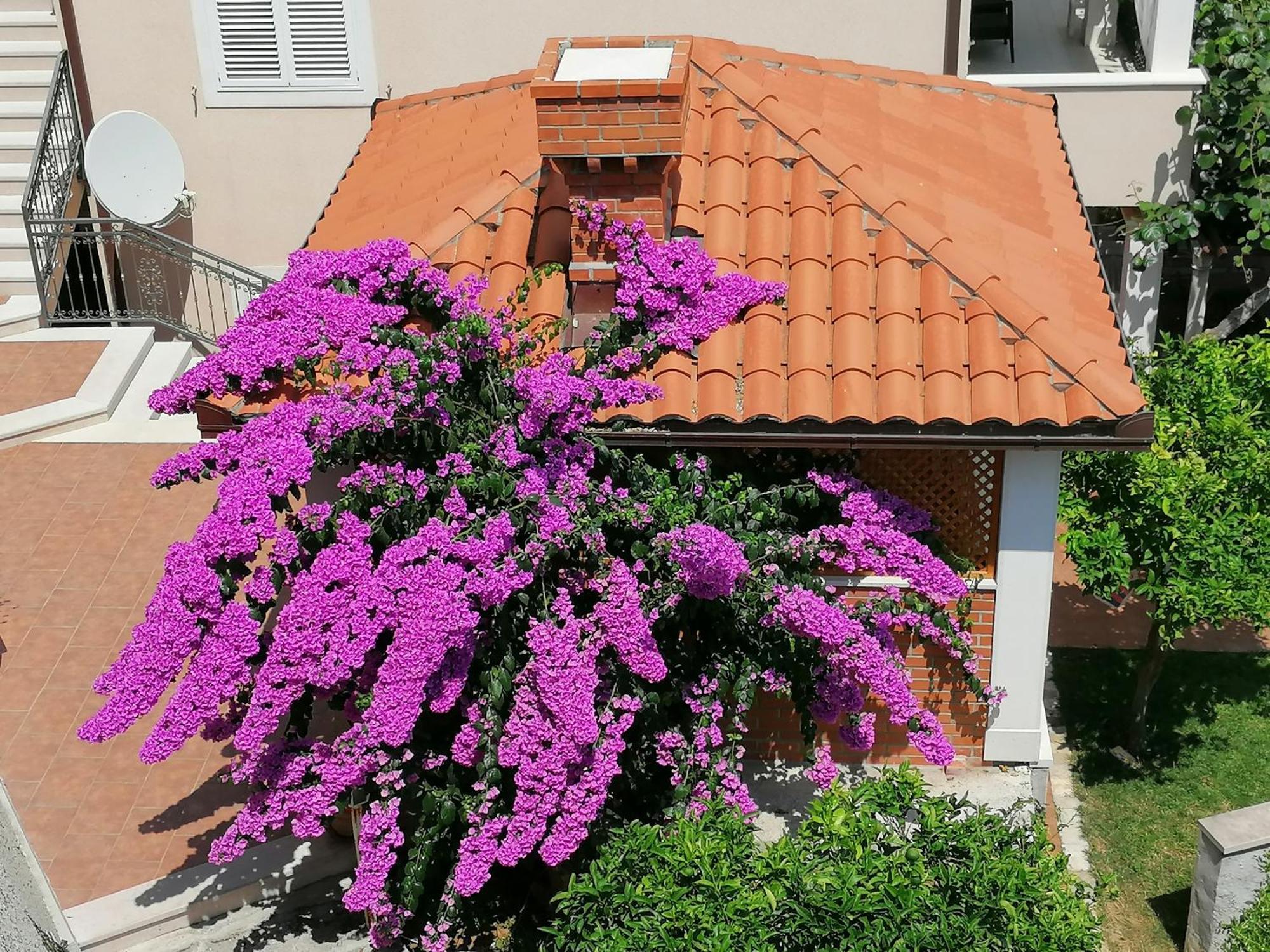 Green Park Apartments 2 Dubrovník Exteriér fotografie